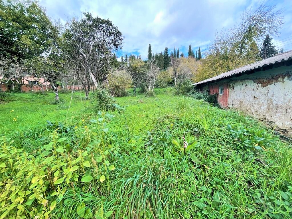 Land in Corfu, Corfu Prefecture, Greece – 51589