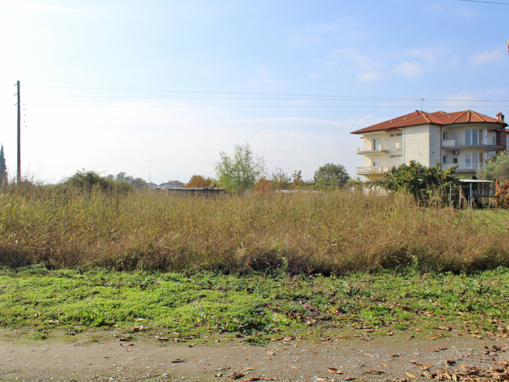 Land in Katerini, Pieria Prefecture, Greece – 51583
