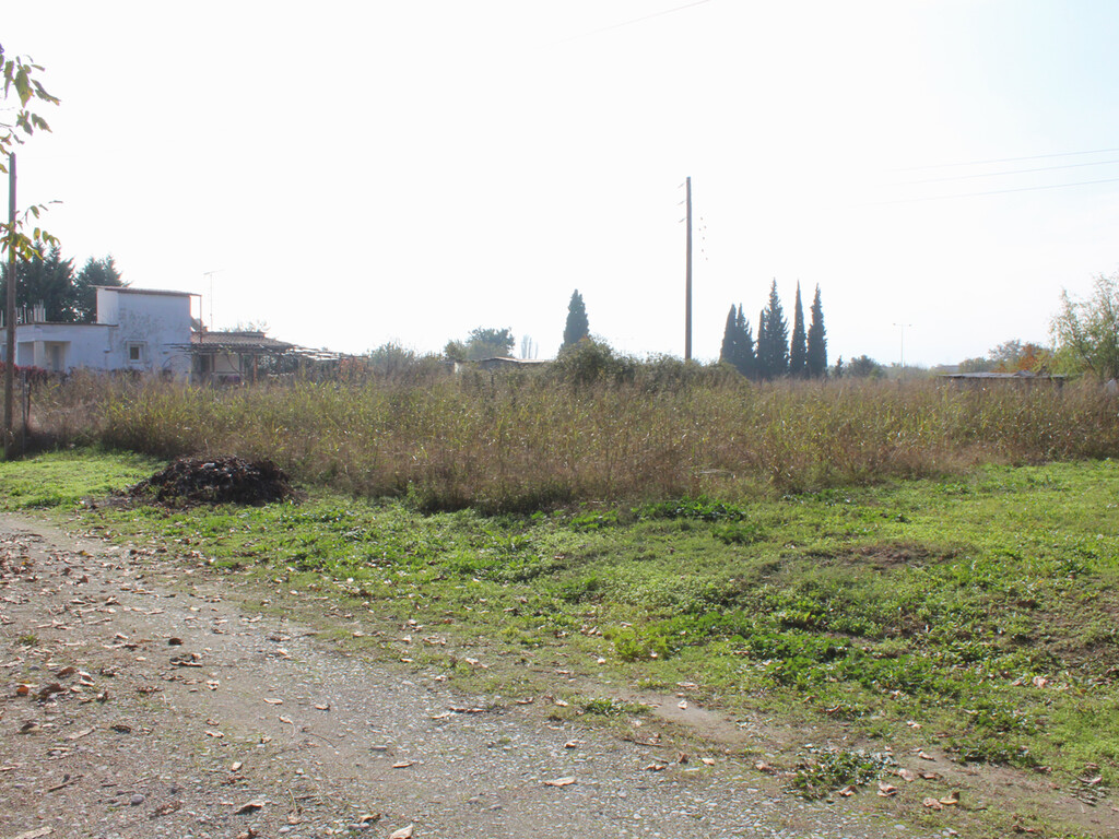 Land in Katerini, Pieria Prefecture, Greece – 51583