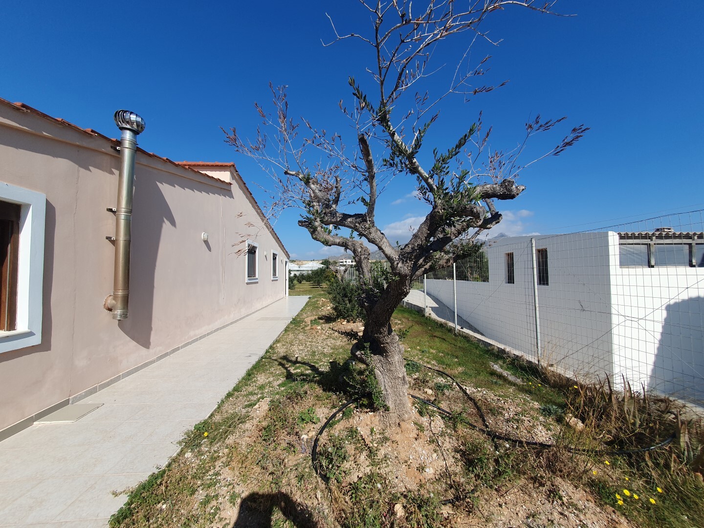 Business in Ierapetra, Lasithi Prefecture, Greece – 51579