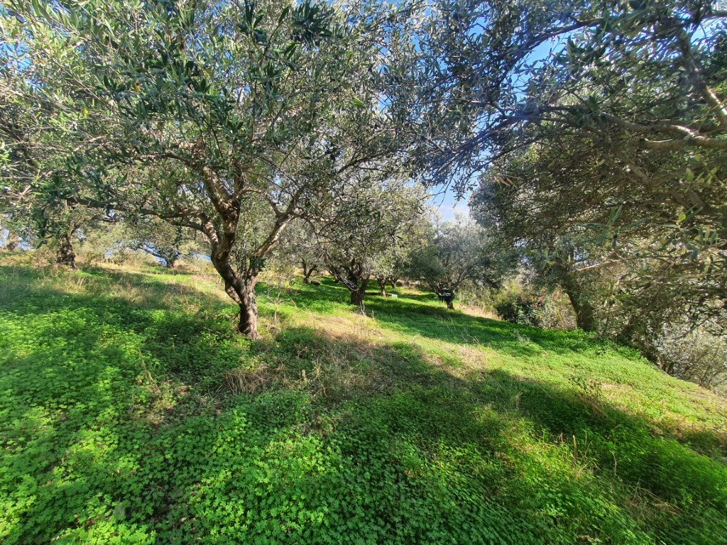 Land in Gazi, Heraklion Prefecture, Greece – 51499