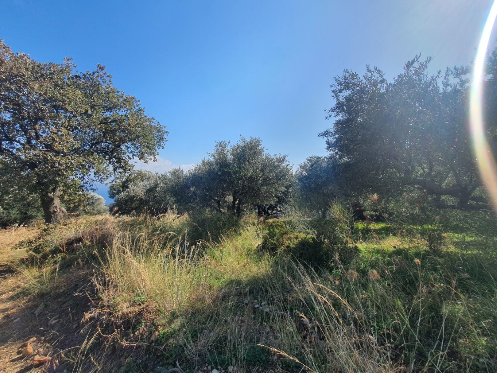 Land in Gazi, Heraklion Prefecture, Greece – 51499