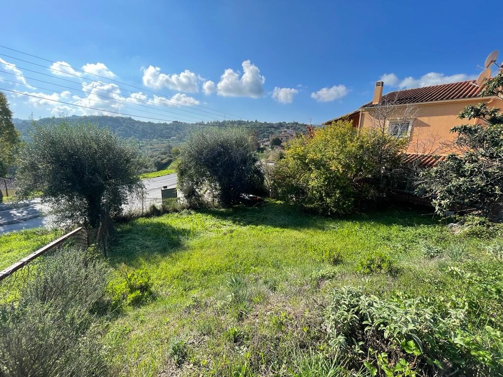 Land in Corfu, Corfu Prefecture, Greece – 51487