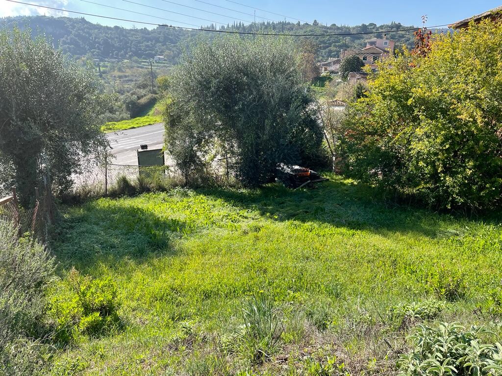 Land in Corfu, Corfu Prefecture, Greece – 51487