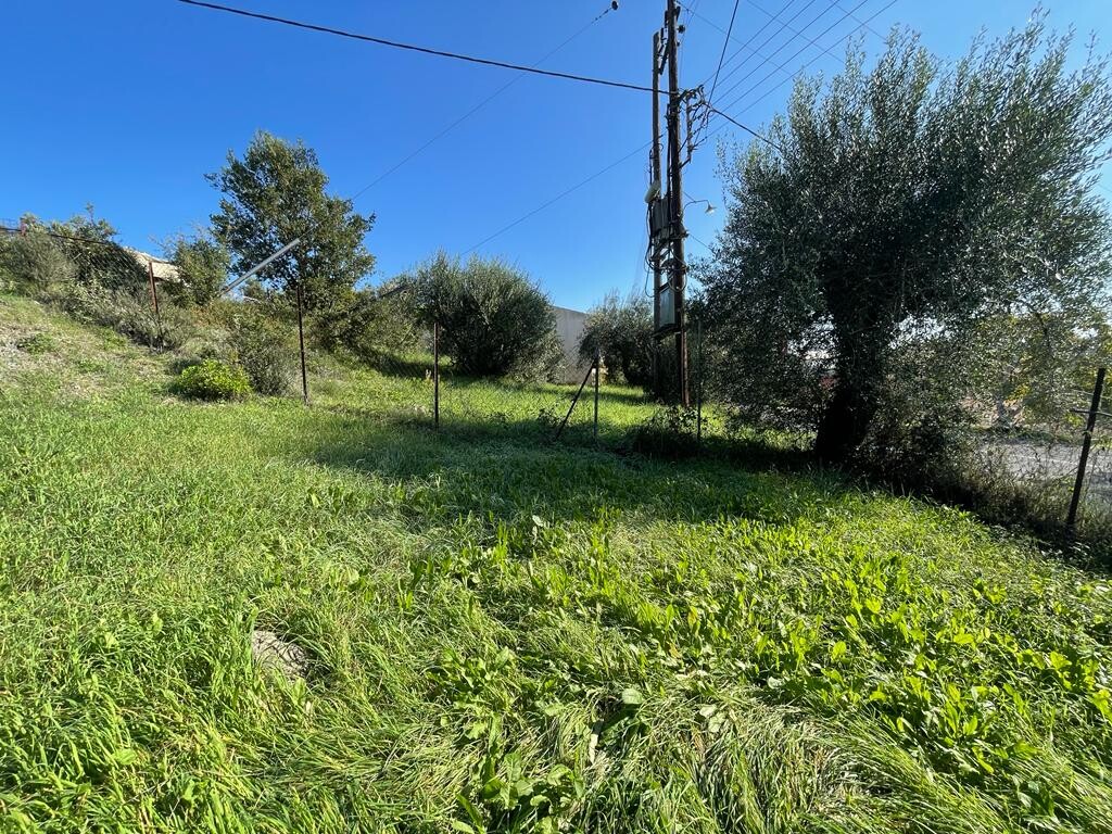 Land in Corfu, Corfu Prefecture, Greece – 51487