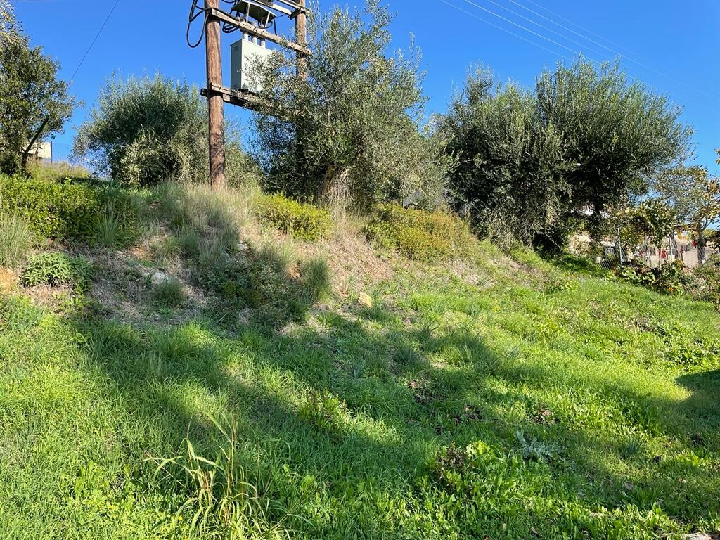 Land in Corfu, Corfu Prefecture, Greece – 51487