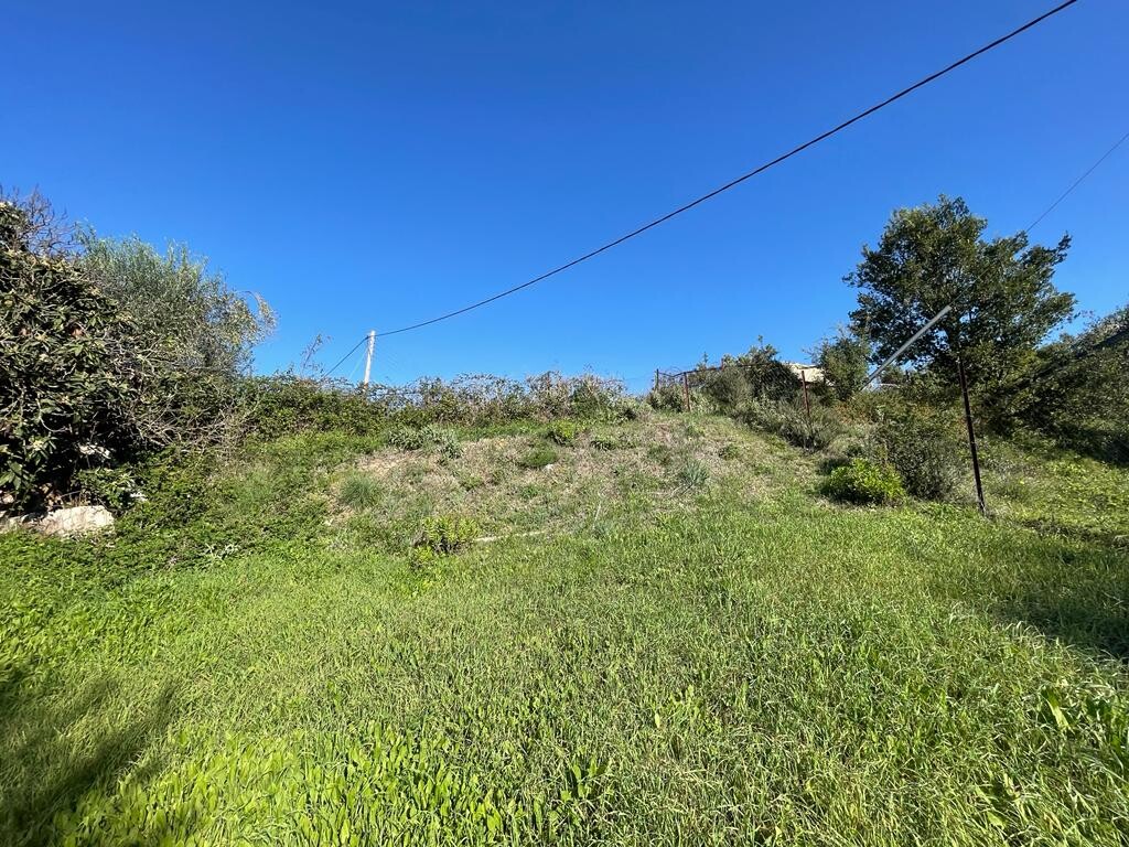 Land in Corfu, Corfu Prefecture, Greece – 51487