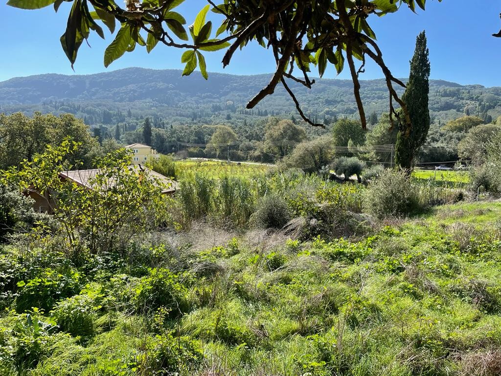 Land in Corfu, Corfu Prefecture, Greece – 51486