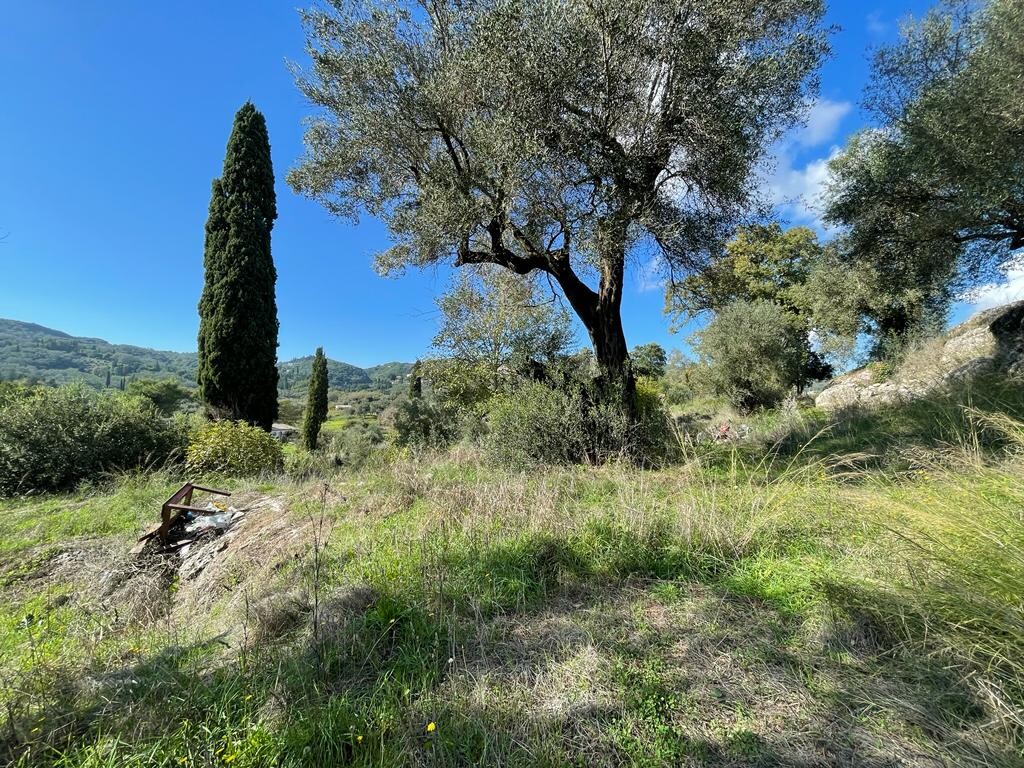 Land in Corfu, Corfu Prefecture, Greece – 51486