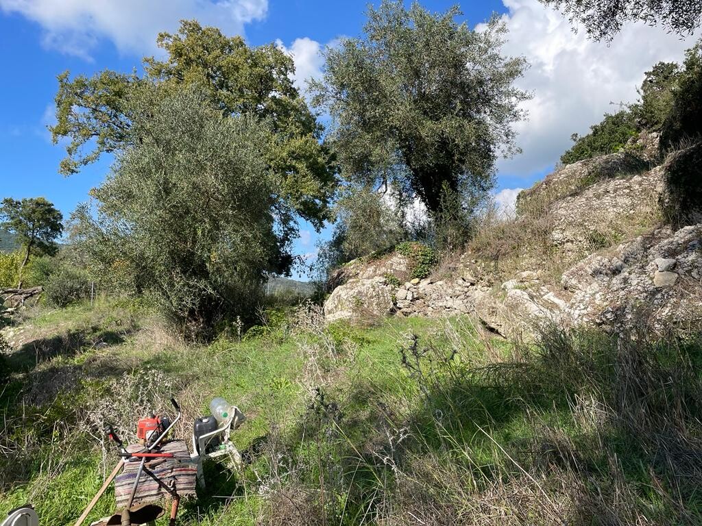Land in Corfu, Corfu Prefecture, Greece – 51486