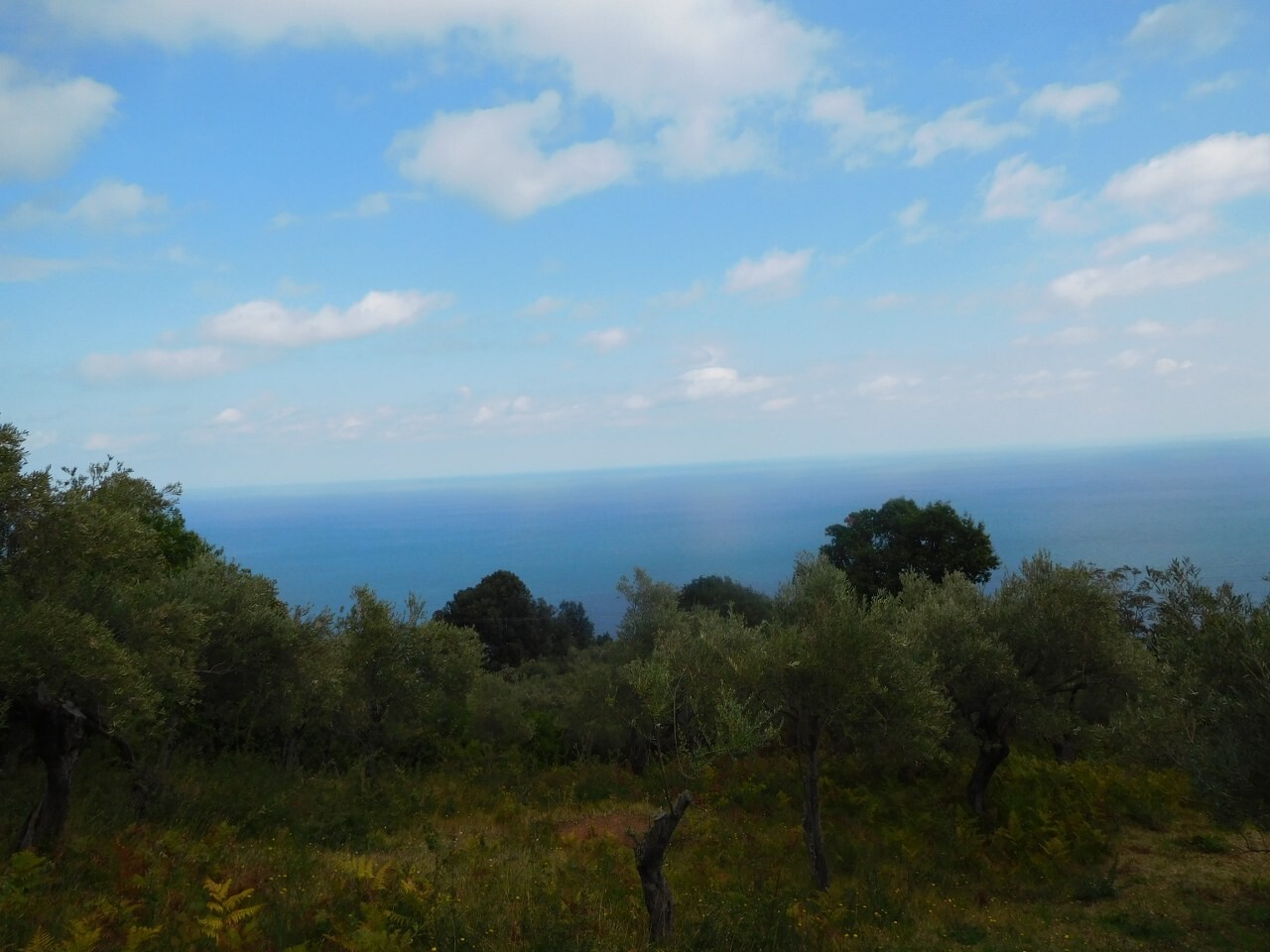 Land in Volos/Pilio, Magnesia, Greece – 51479