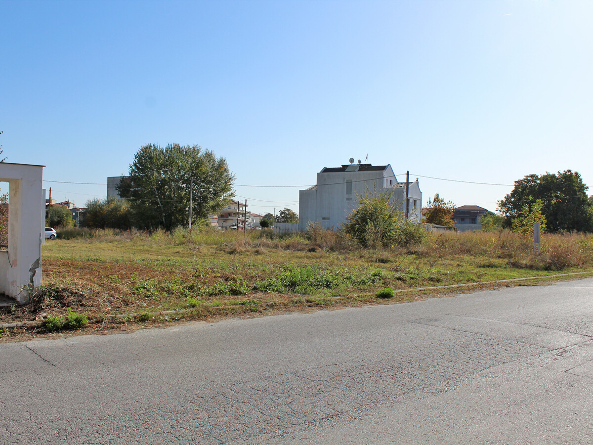 Land in Katerini, Pieria Prefecture, Greece – 51443