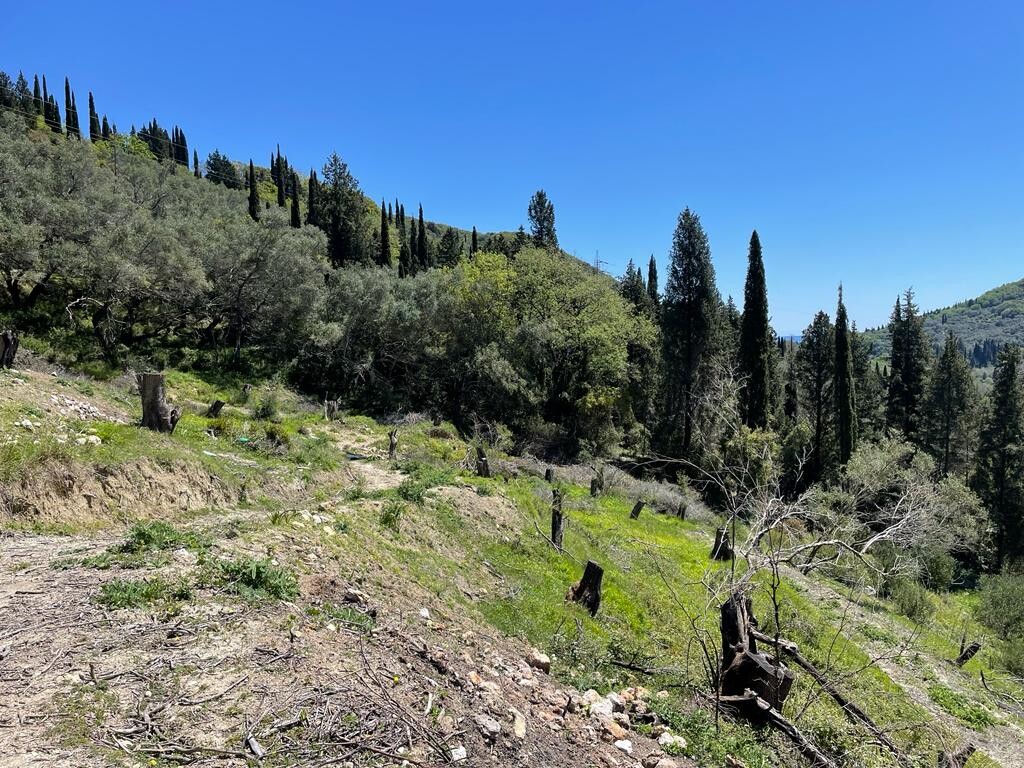 Land in Corfu, Corfu Prefecture, Greece – 51427