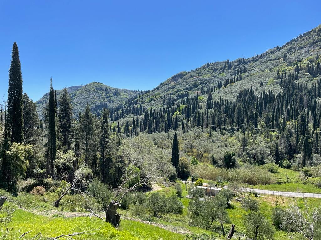 Land in Corfu, Corfu Prefecture, Greece – 51427