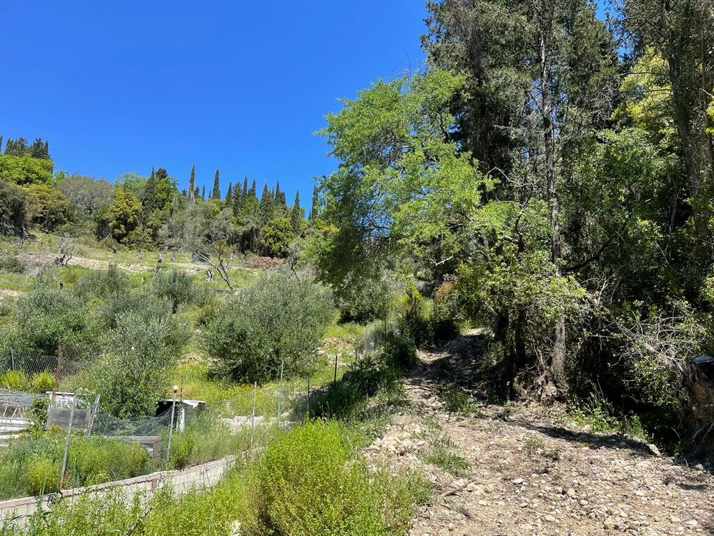 Land in Corfu, Corfu Prefecture, Greece – 51427
