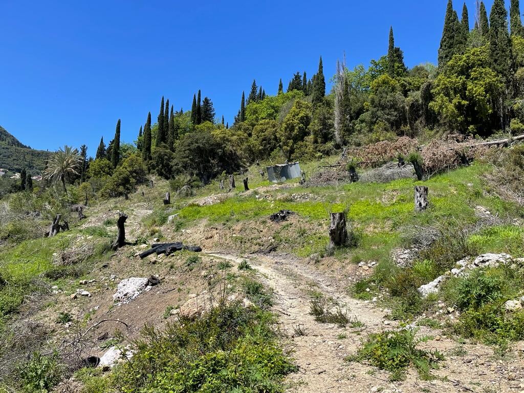 Land in Corfu, Corfu Prefecture, Greece – 51427
