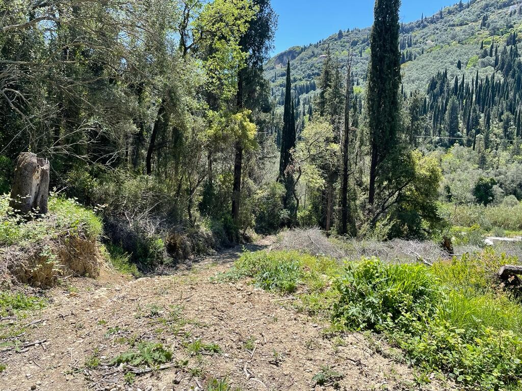 Land in Corfu, Corfu Prefecture, Greece – 51427