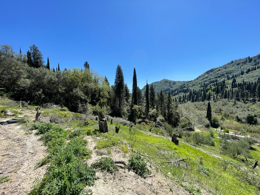 Land in Corfu, Corfu Prefecture, Greece – 51427