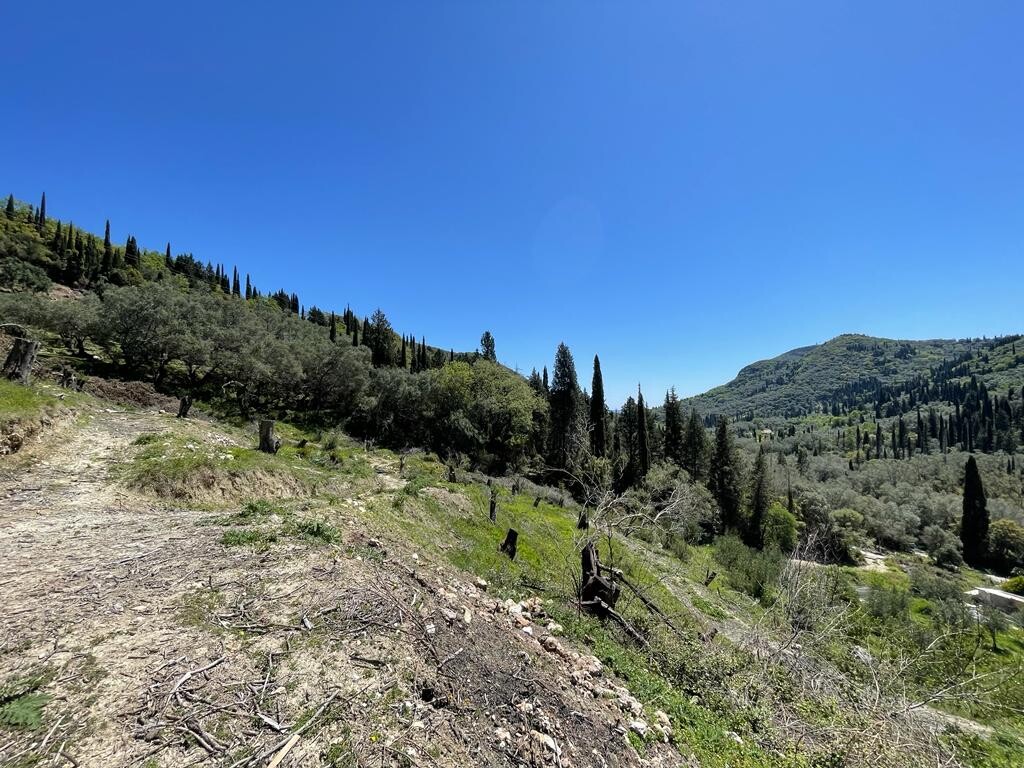 Land in Corfu, Corfu Prefecture, Greece – 51427
