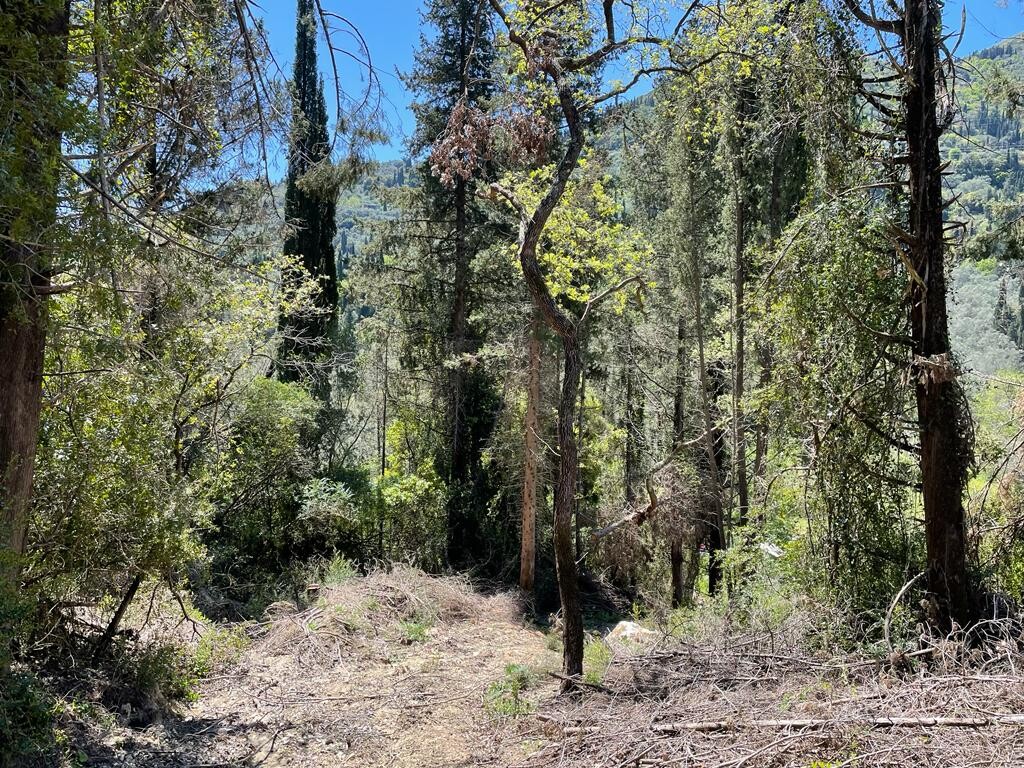 Land in Corfu, Corfu Prefecture, Greece – 51427