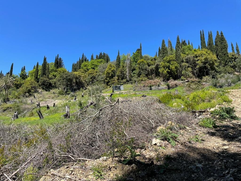 Land in Corfu, Corfu Prefecture, Greece – 51427