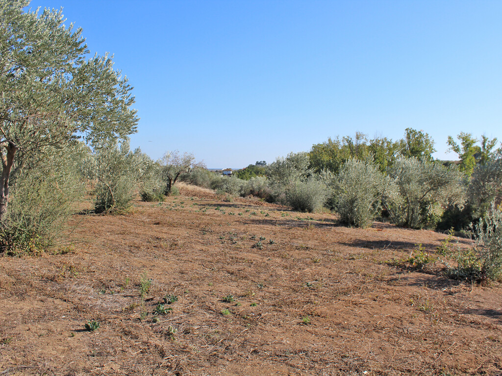 Land in Pidna, Pieria Prefecture, Greece – 51390