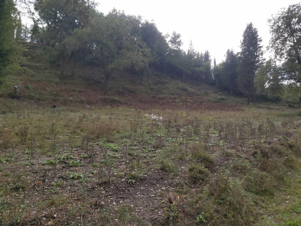Land in Corfu, Corfu Prefecture, Greece – 51329