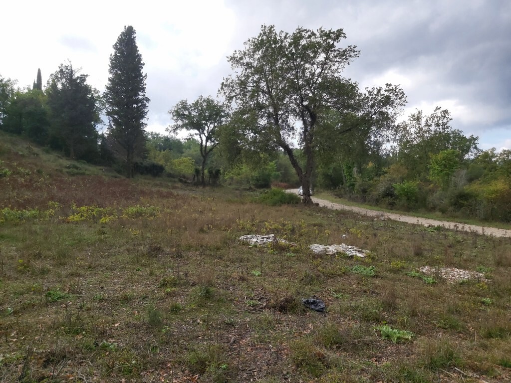 Land in Corfu, Corfu Prefecture, Greece – 51329