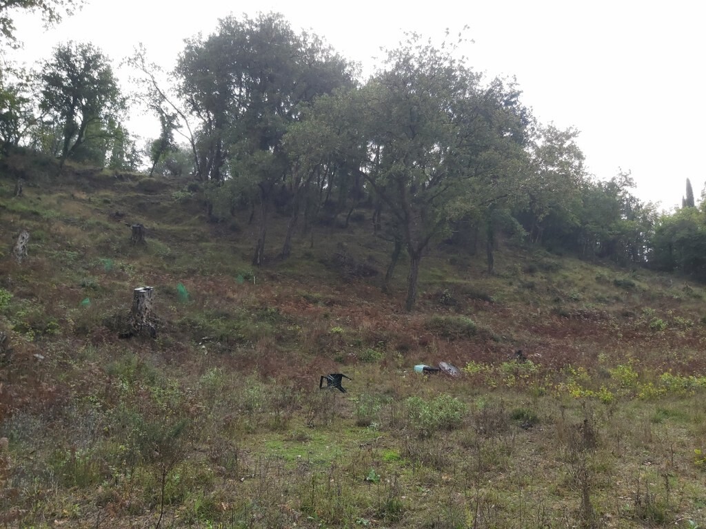 Land in Corfu, Corfu Prefecture, Greece – 51329