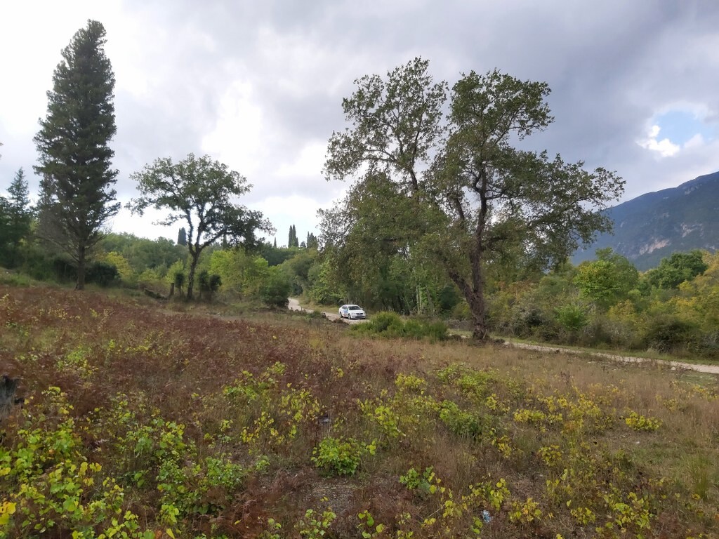 Land in Corfu, Corfu Prefecture, Greece – 51329