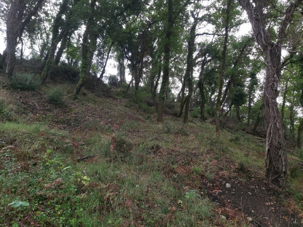 Land in Corfu, Corfu Prefecture, Greece – 51329