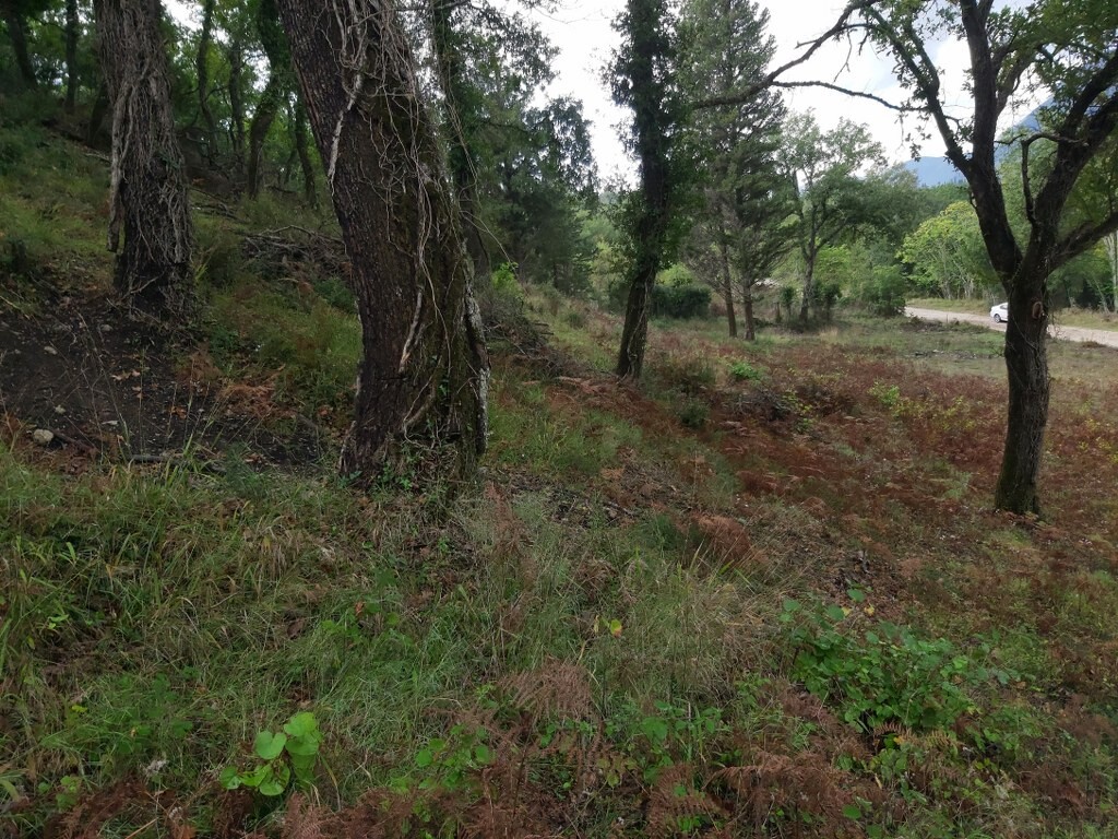 Land in Corfu, Corfu Prefecture, Greece – 51329