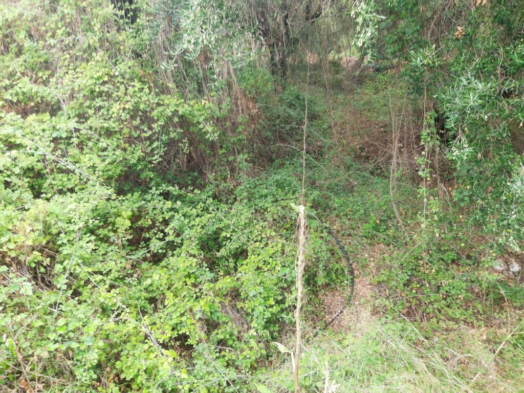 Land in Corfu, Corfu Prefecture, Greece – 51328