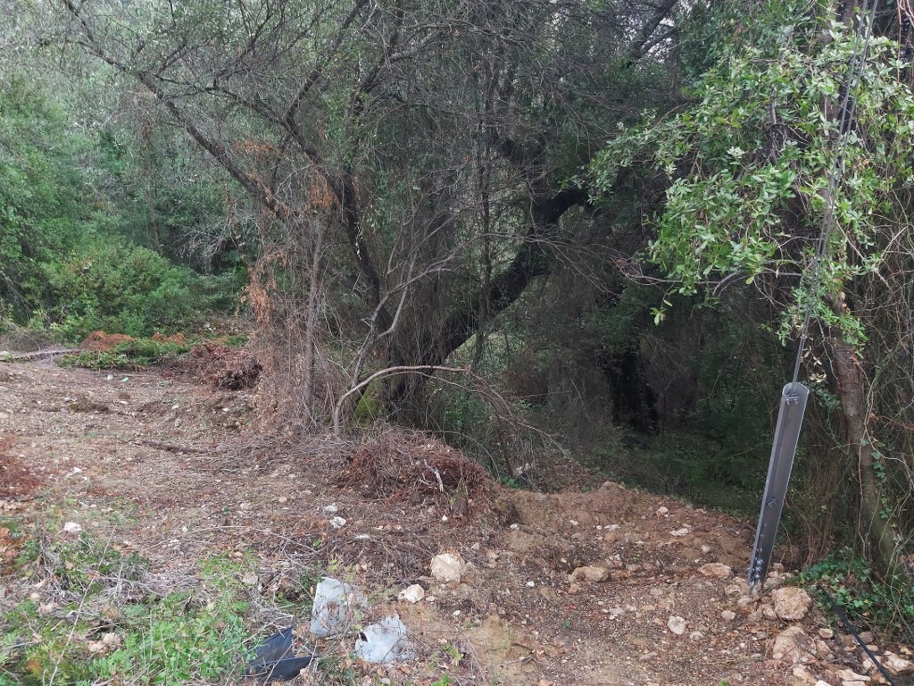Land in Corfu, Corfu Prefecture, Greece – 51328