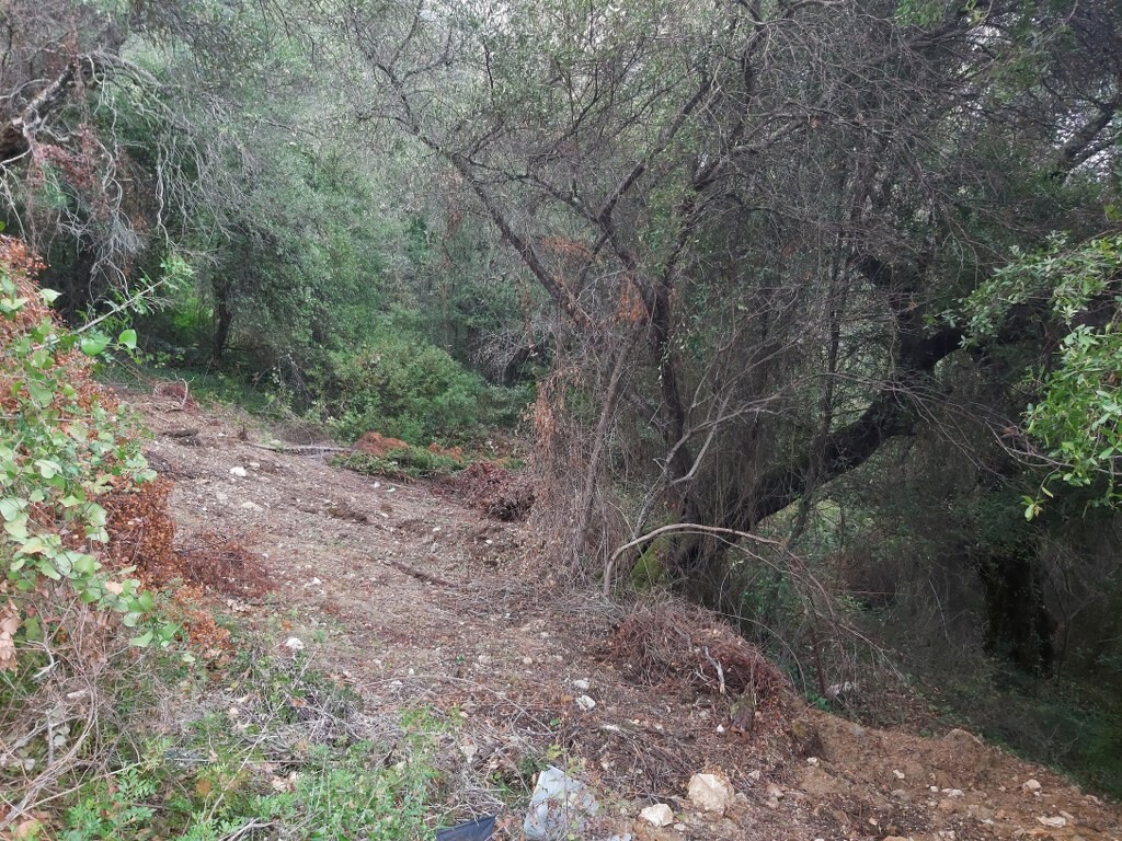 Land in Corfu, Corfu Prefecture, Greece – 51328