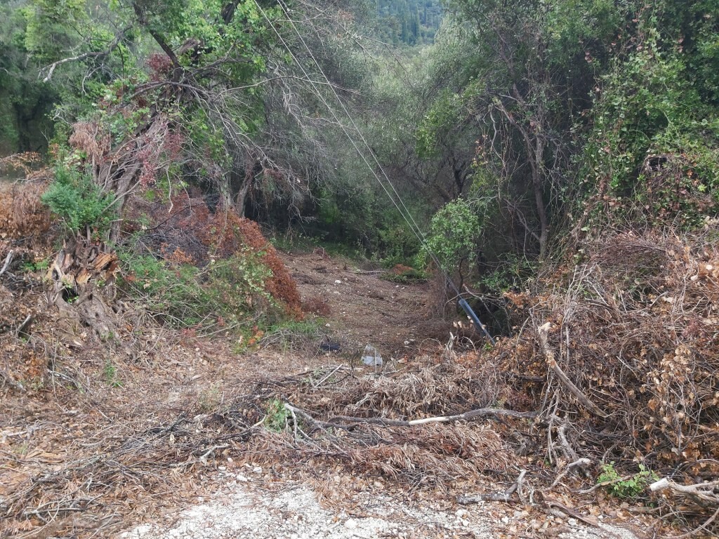 Land in Corfu, Corfu Prefecture, Greece – 51328
