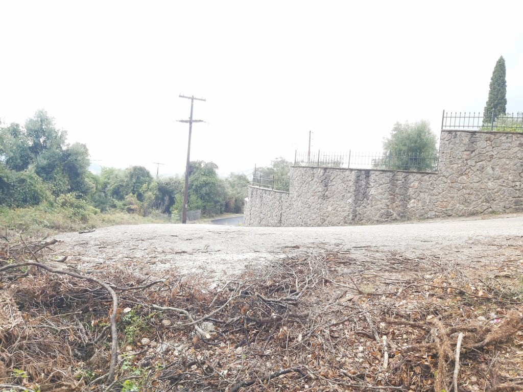 Land in Corfu, Corfu Prefecture, Greece – 51328