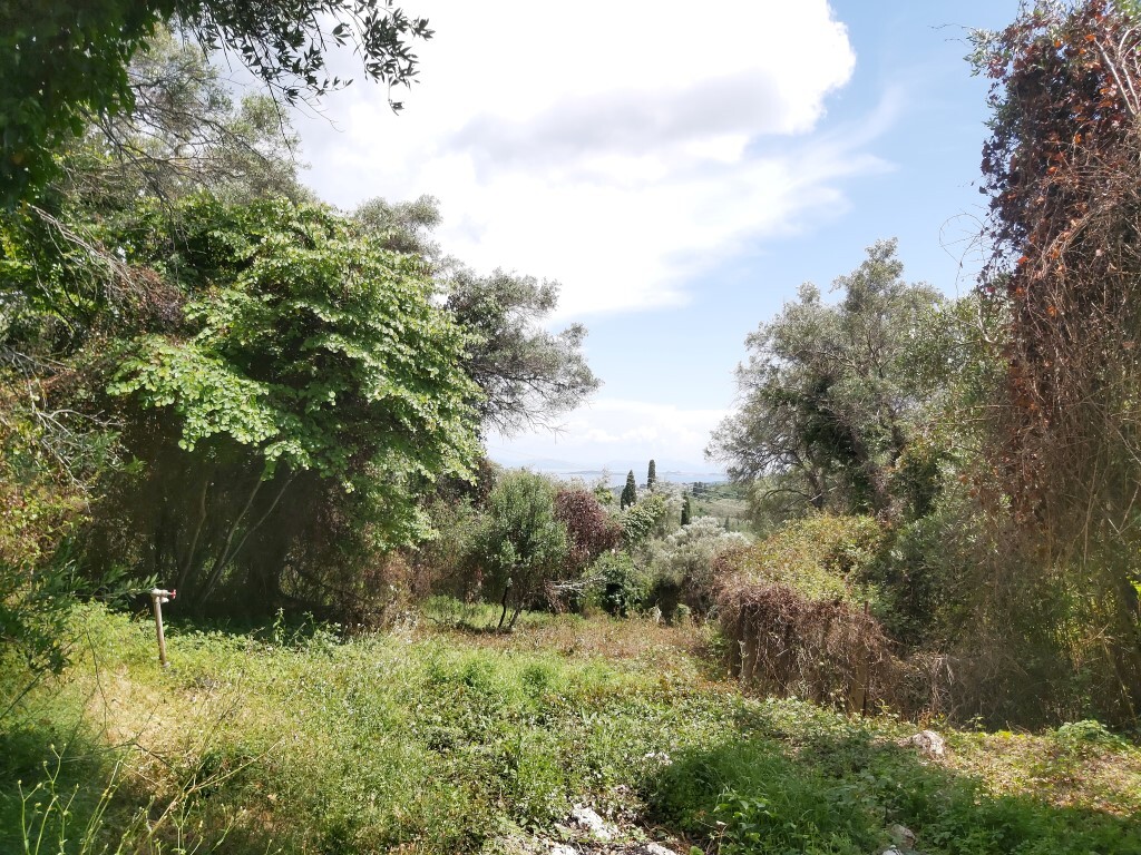 Land in Corfu, Corfu Prefecture, Greece – 51327