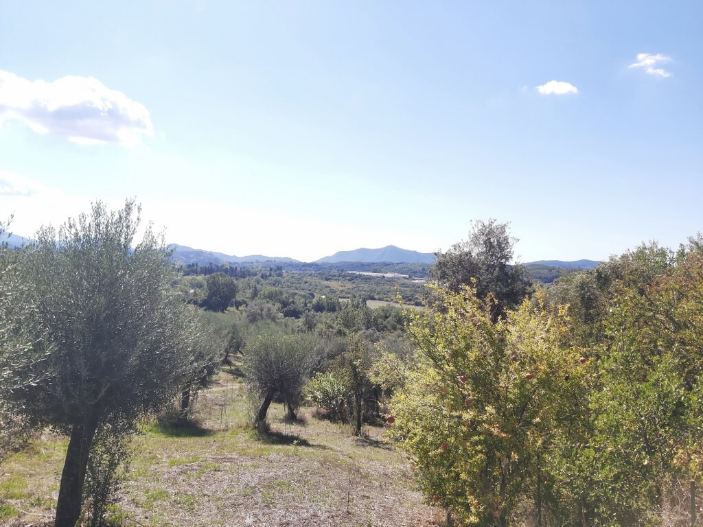 Land in Corfu, Corfu Prefecture, Greece – 51293