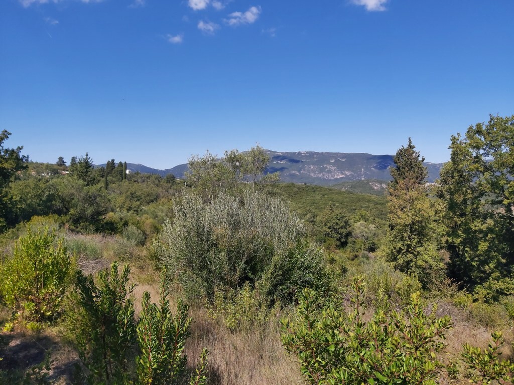 Land in Corfu, Corfu Prefecture, Greece – 51293