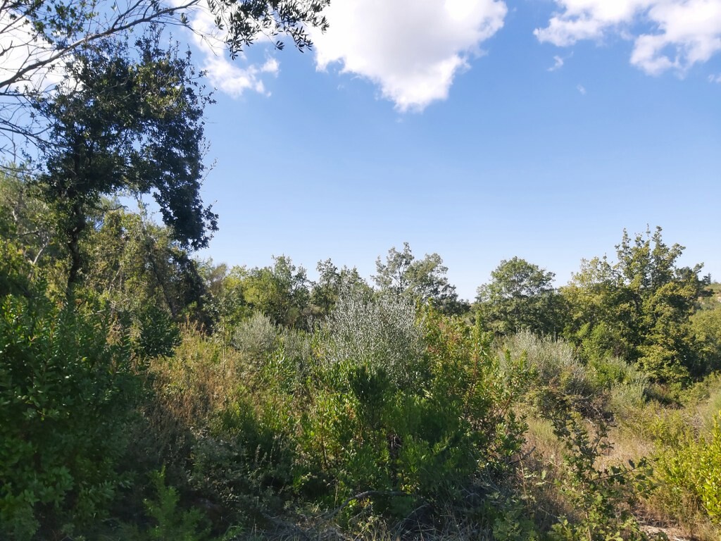 Land in Corfu, Corfu Prefecture, Greece – 51293