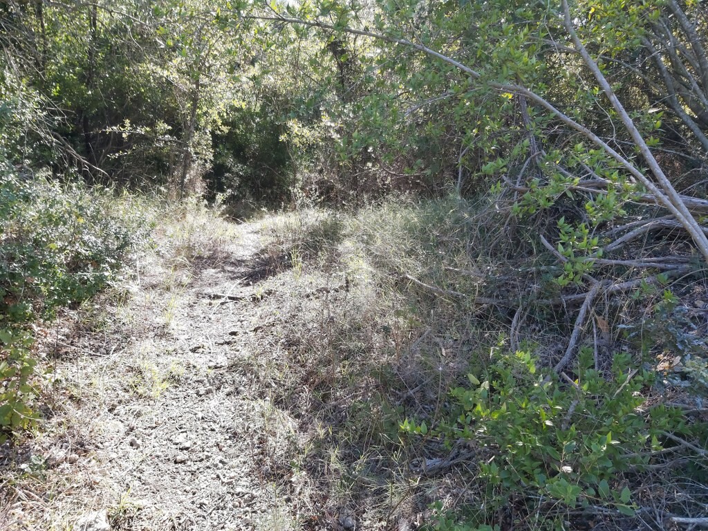 Land in Corfu, Corfu Prefecture, Greece – 51293