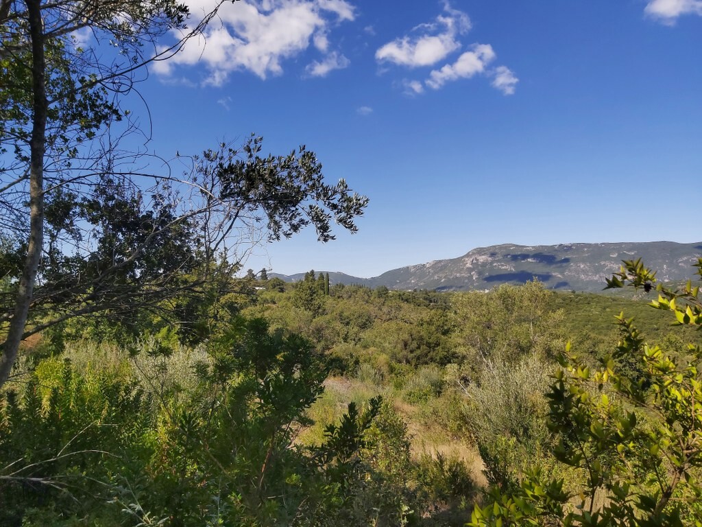 Land in Corfu, Corfu Prefecture, Greece – 51293