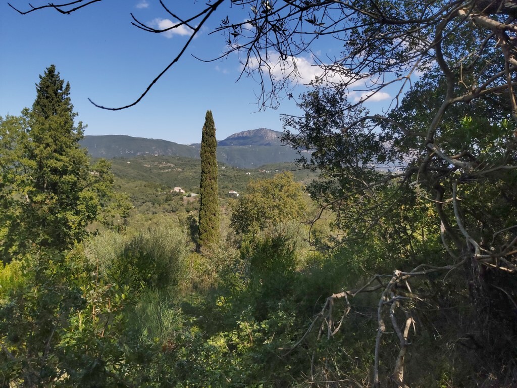 Land in Corfu, Corfu Prefecture, Greece – 51293