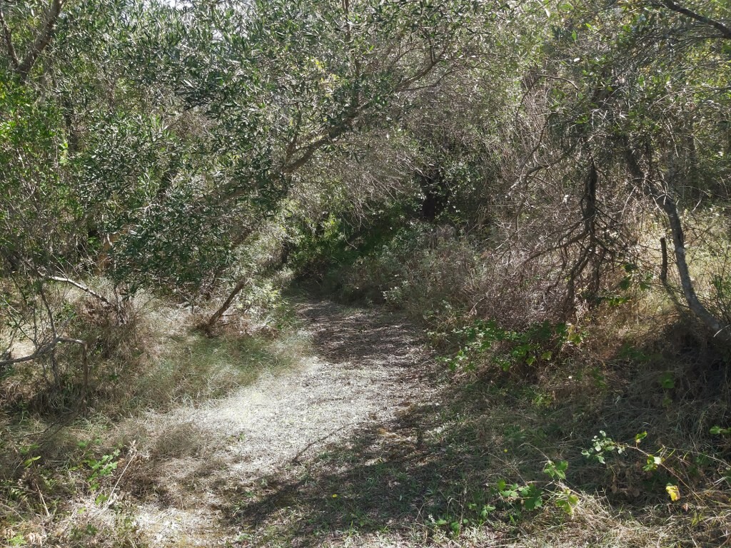 Land in Corfu, Corfu Prefecture, Greece – 51293