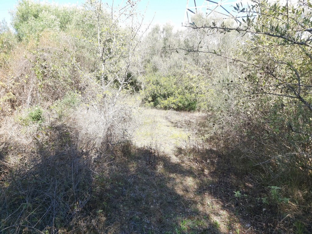 Land in Corfu, Corfu Prefecture, Greece – 51293