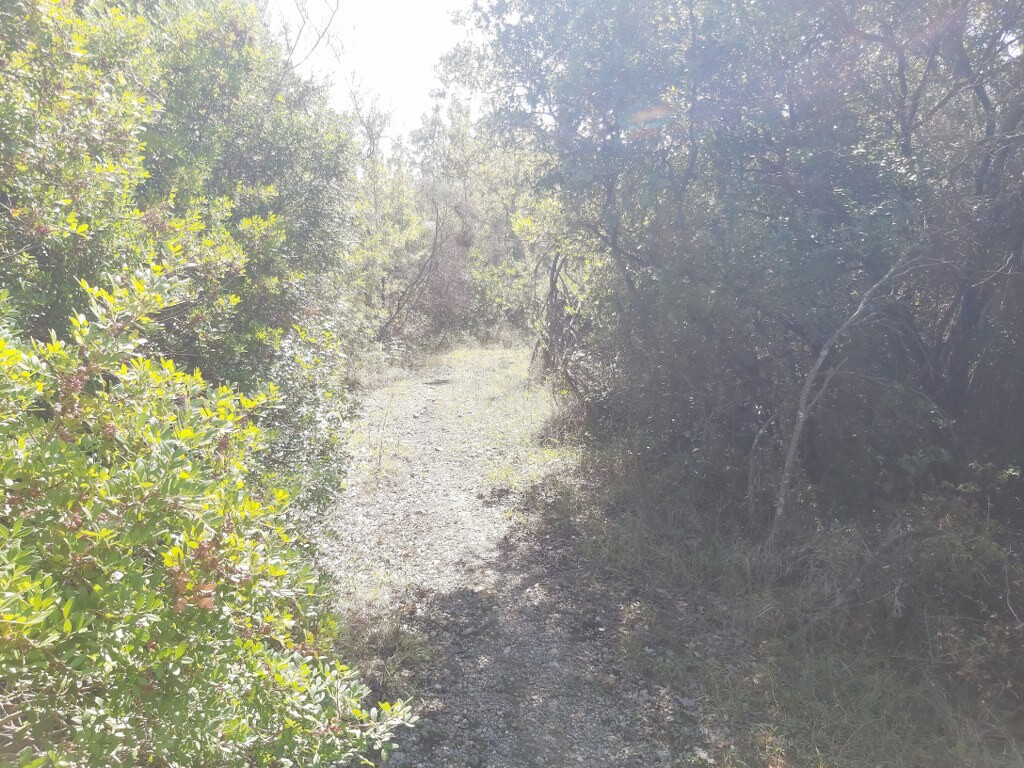 Land in Corfu, Corfu Prefecture, Greece – 51293