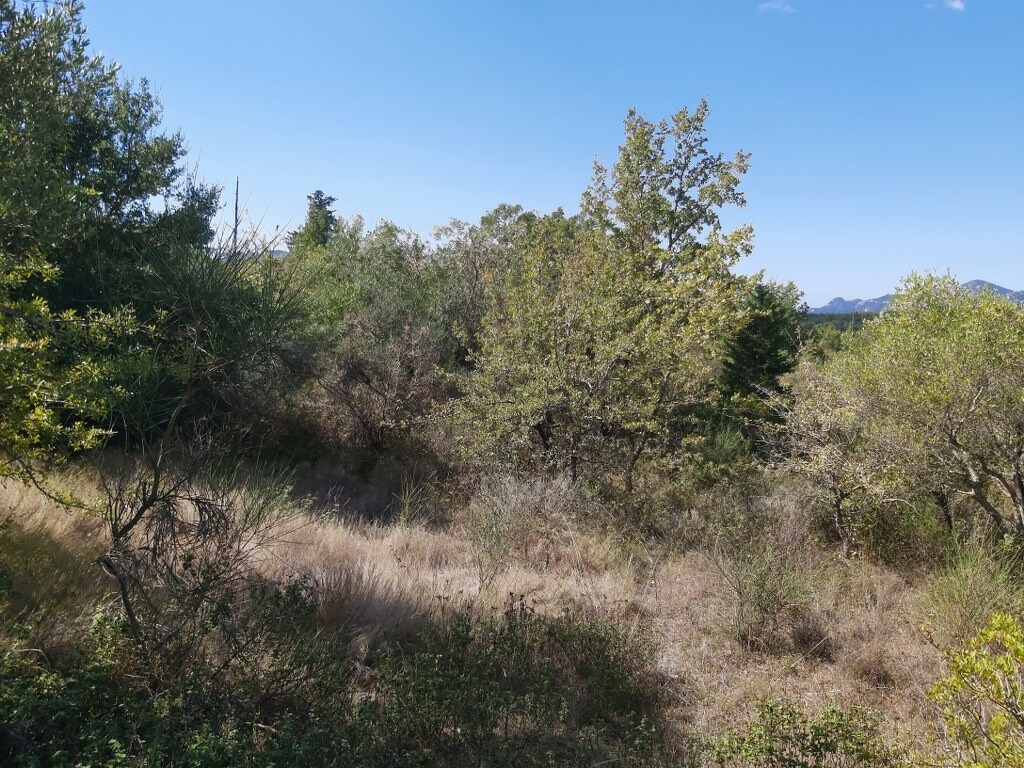 Land in Corfu, Corfu Prefecture, Greece – 51292