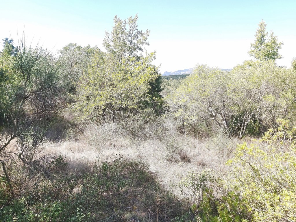 Land in Corfu, Corfu Prefecture, Greece – 51292
