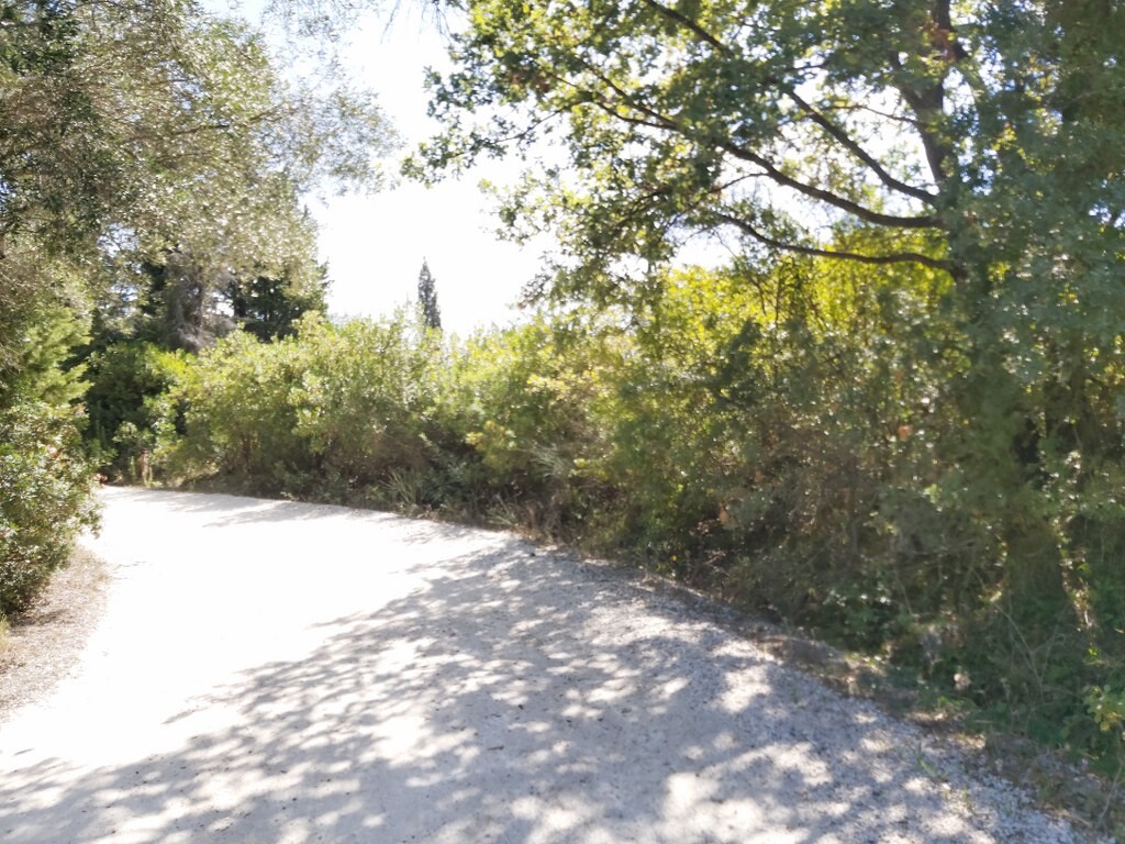 Land in Corfu, Corfu Prefecture, Greece – 51292